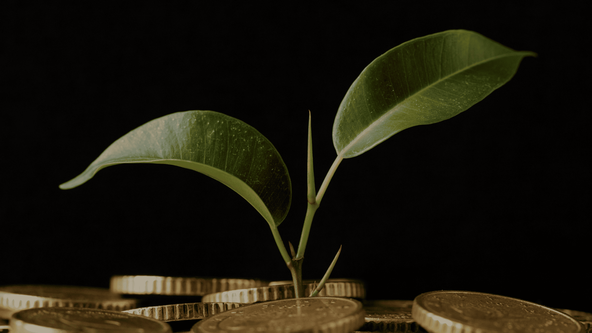 Consejos reales de cómo conseguir inversión para tu startup