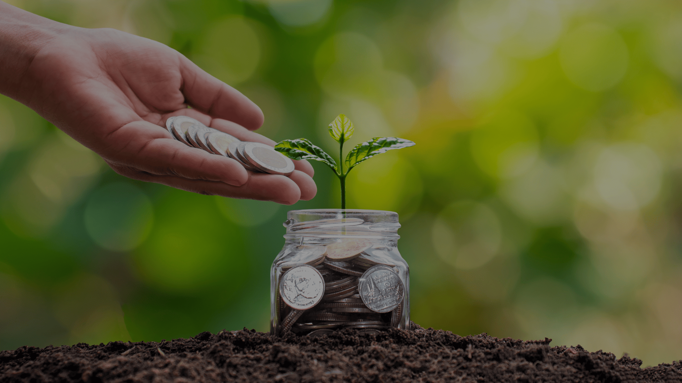 Una guía para entender las inversiones Pre-Seed y Seed